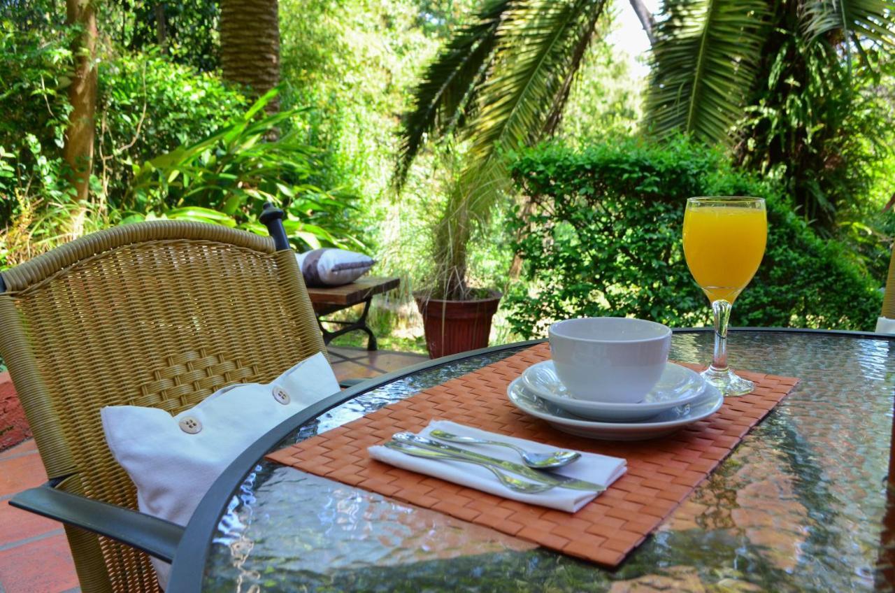 Posada Del Bosque Colonia del Sacramento Ngoại thất bức ảnh